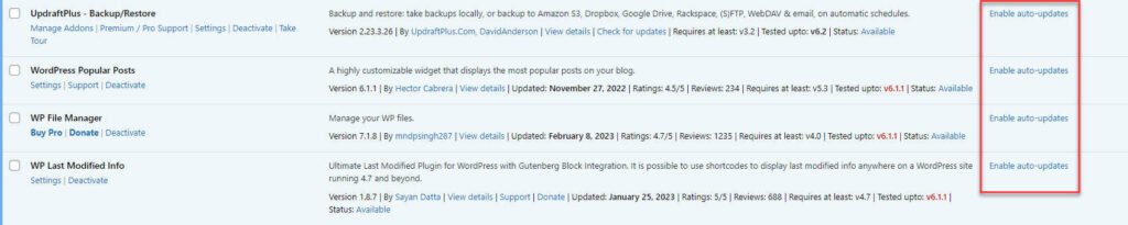 wordpress plugins auto updates