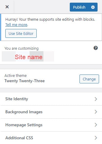 wordpress customize features