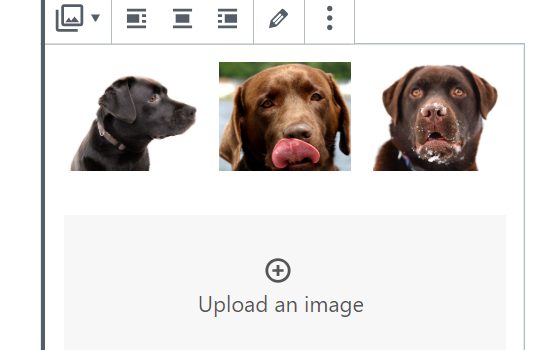 Add Image Gallery Result